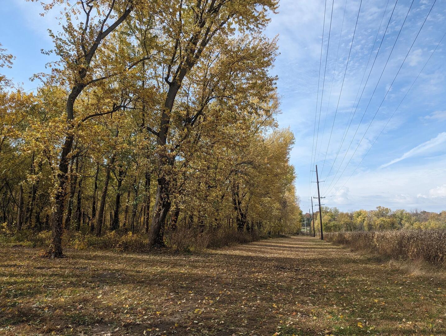 Recreation area and lake activities at Lazy L Lake Campground