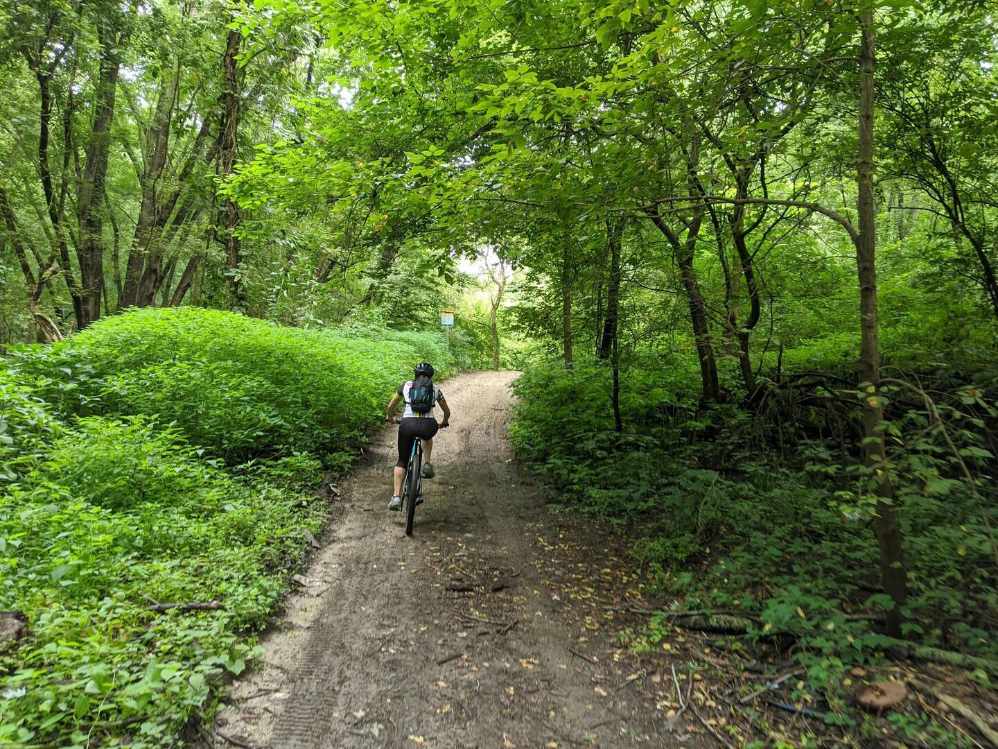 Walking and biking on the Wabashiki Trail